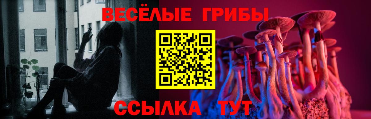 Псилоцибиновые грибы Psilocybe Клин